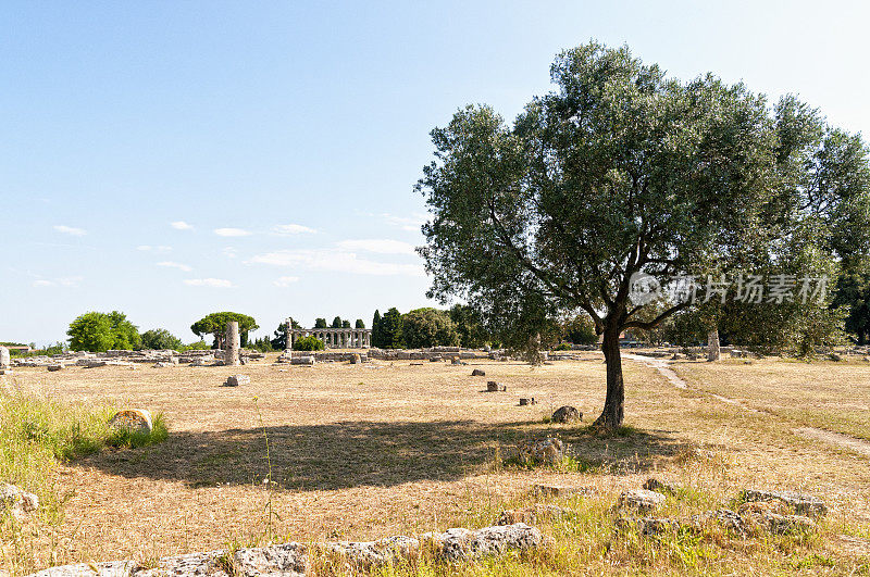 罗马神庙- Paestum